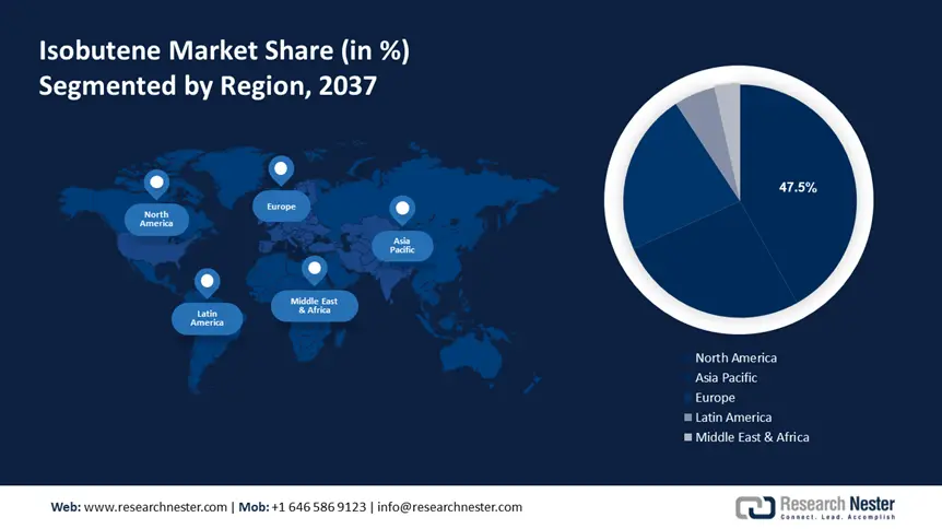 Isobutene Market Share